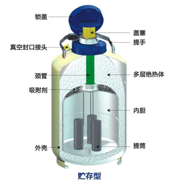 成都金鳳貯存型液氮罐結(jié)構(gòu)特點